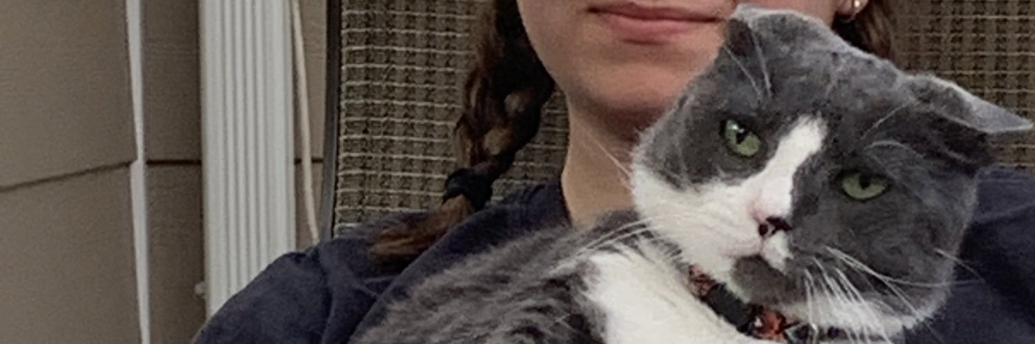 sophgpup's profile banner image