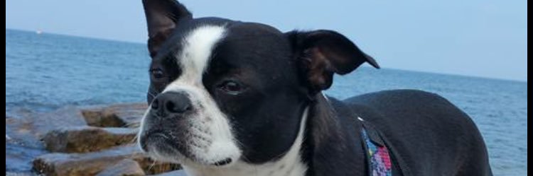 ryaneb1999's profile banner image