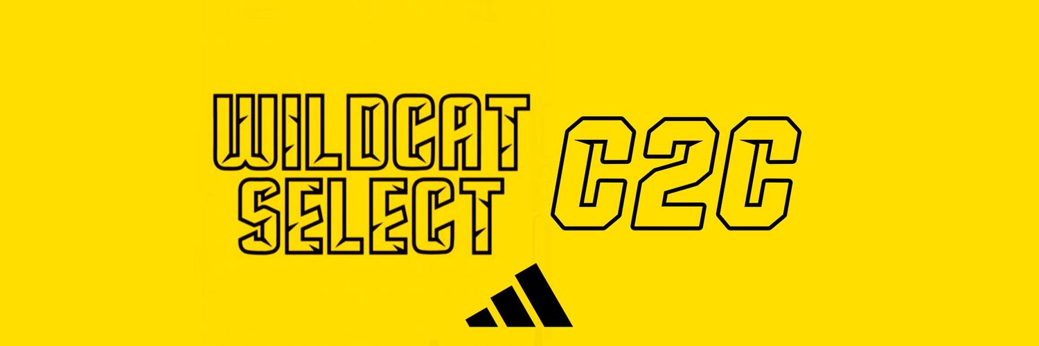 Mario Flowers banner