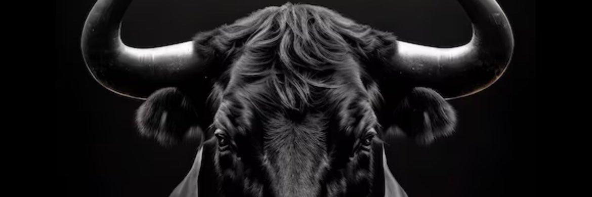 Rolanddaking's profile banner image