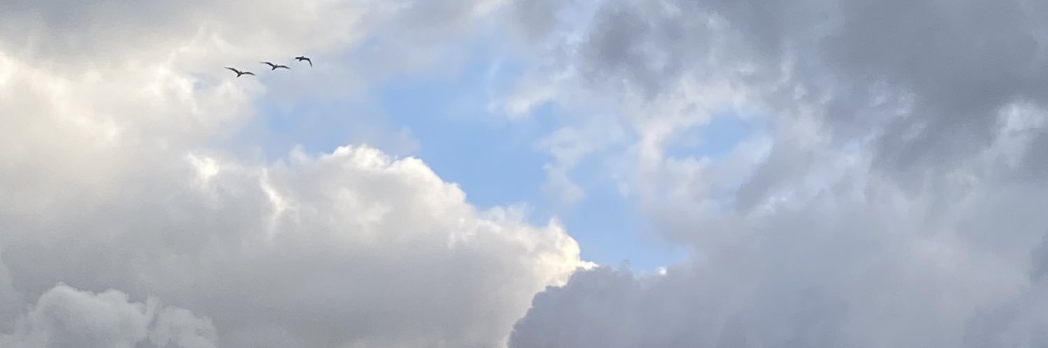незнайомка's banner