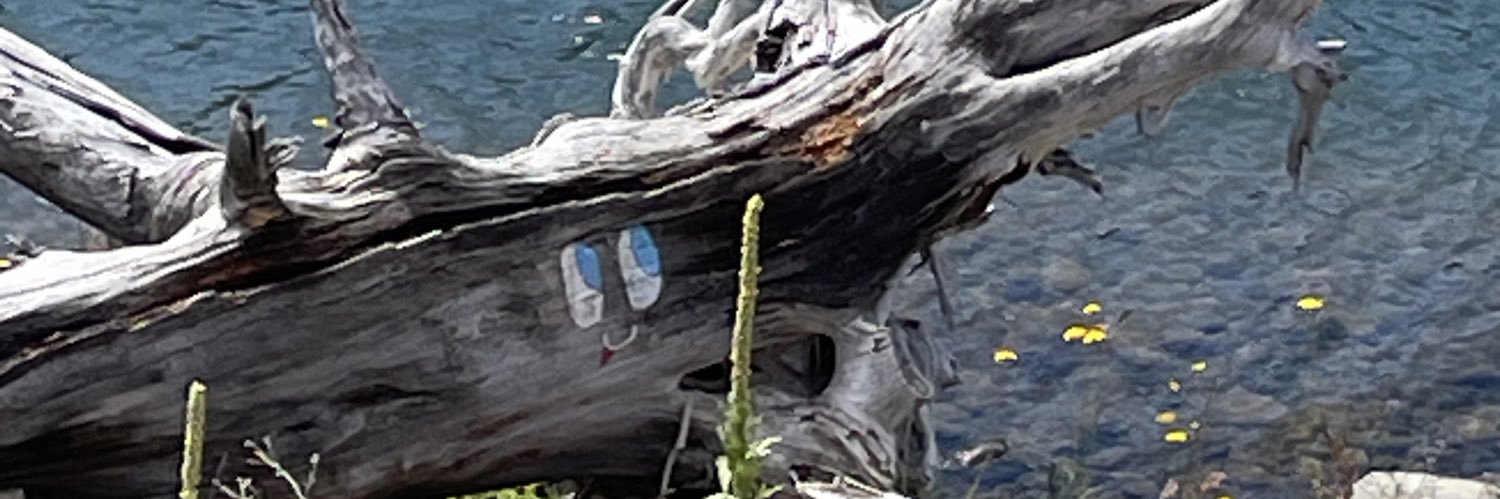 RommannTina's profile banner image