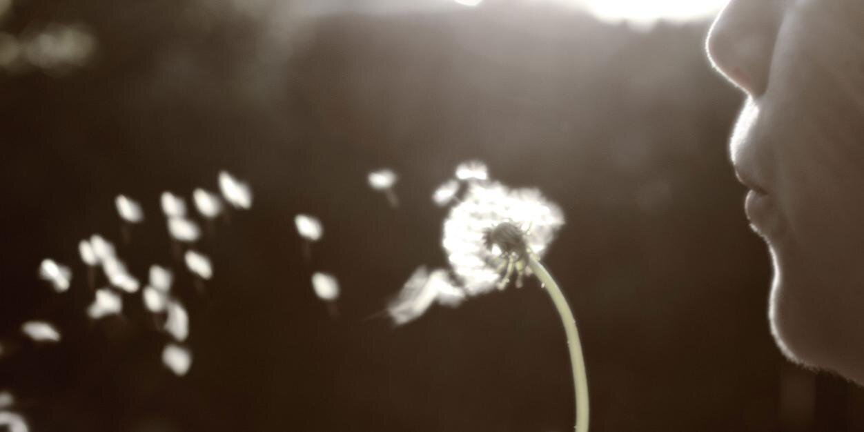 STEMseeds's profile banner image