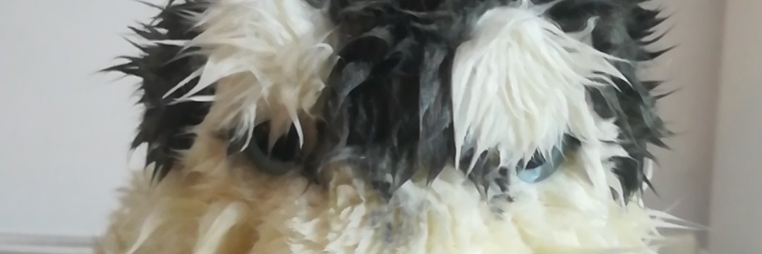 dathveda's profile banner image