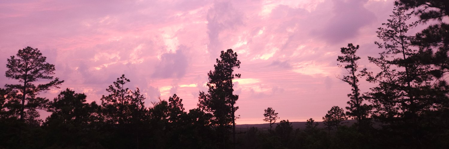 woodreams's profile banner image