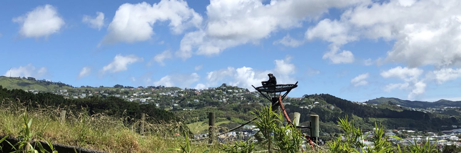 SeamanKarl's profile banner image