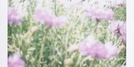 madodos318's profile banner image