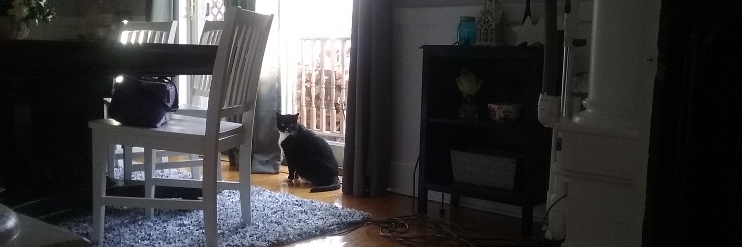 novagran's profile banner image