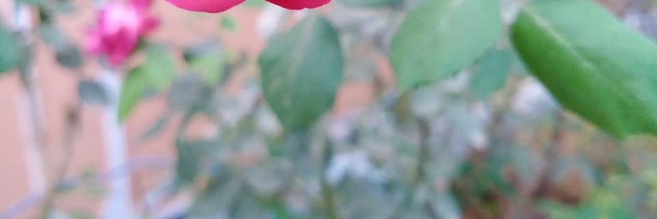 gopal_lkr's profile banner image