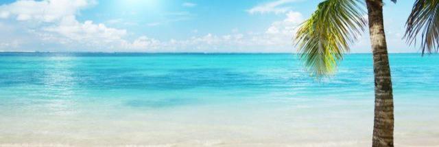 Christina Wilson banner