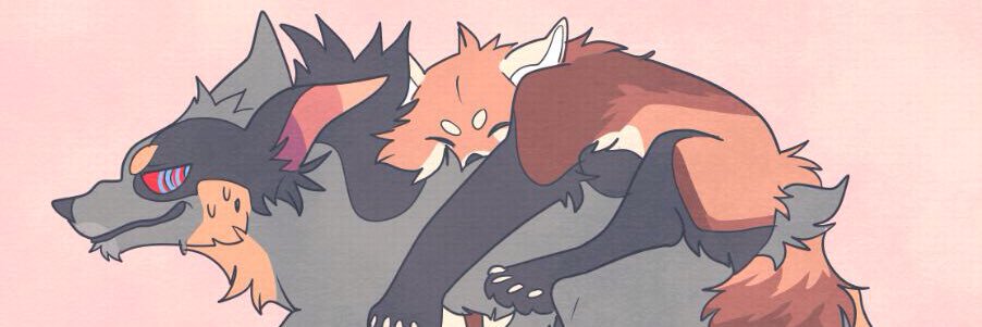 Barketype's profile banner image