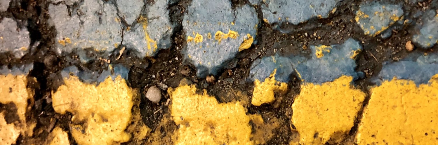 Aleksandr Rozgon banner