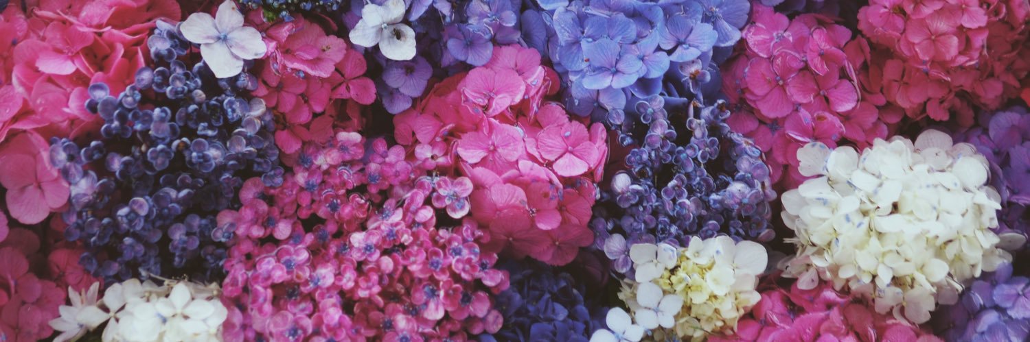 _______scarlet_'s profile banner image