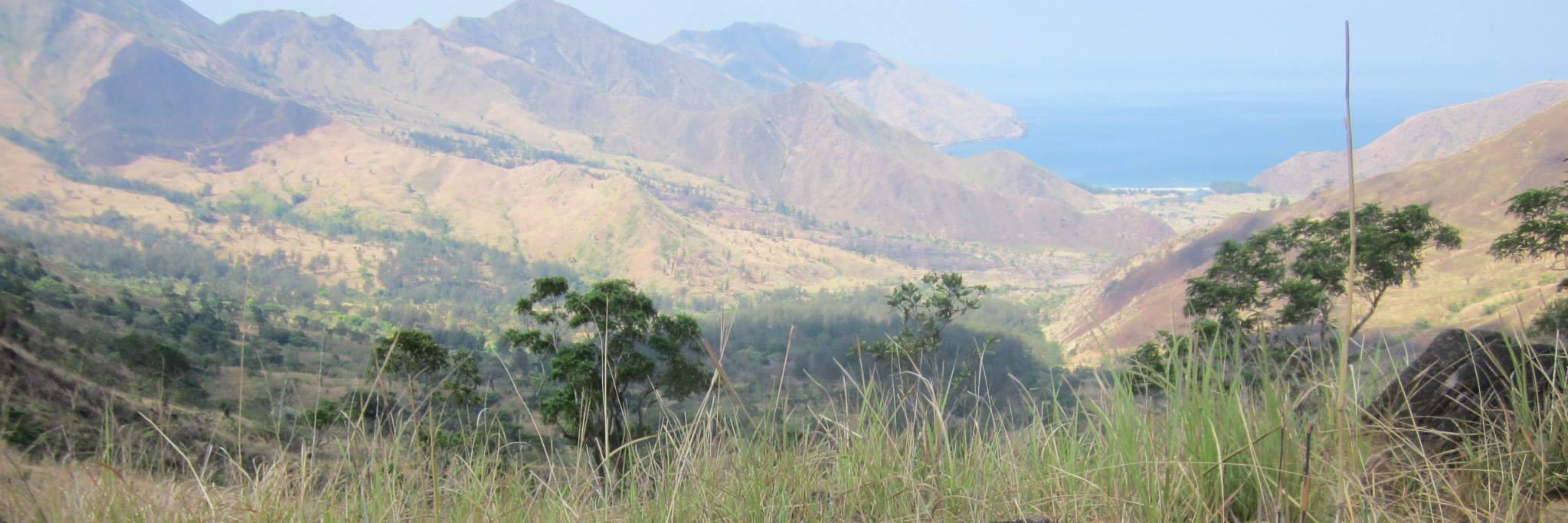 terryblehiker's profile banner image