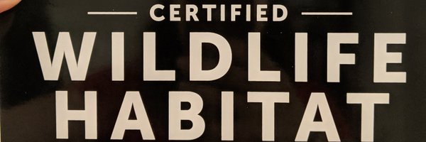 AmandaE_Sci Profile Banner