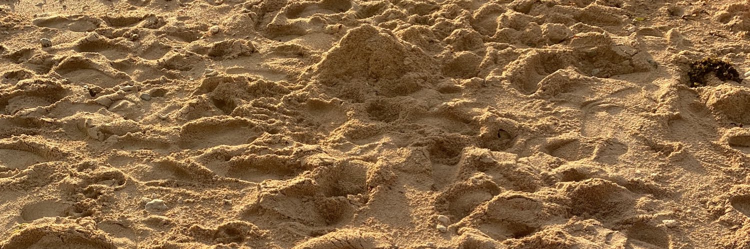 kslarin_'s profile banner image