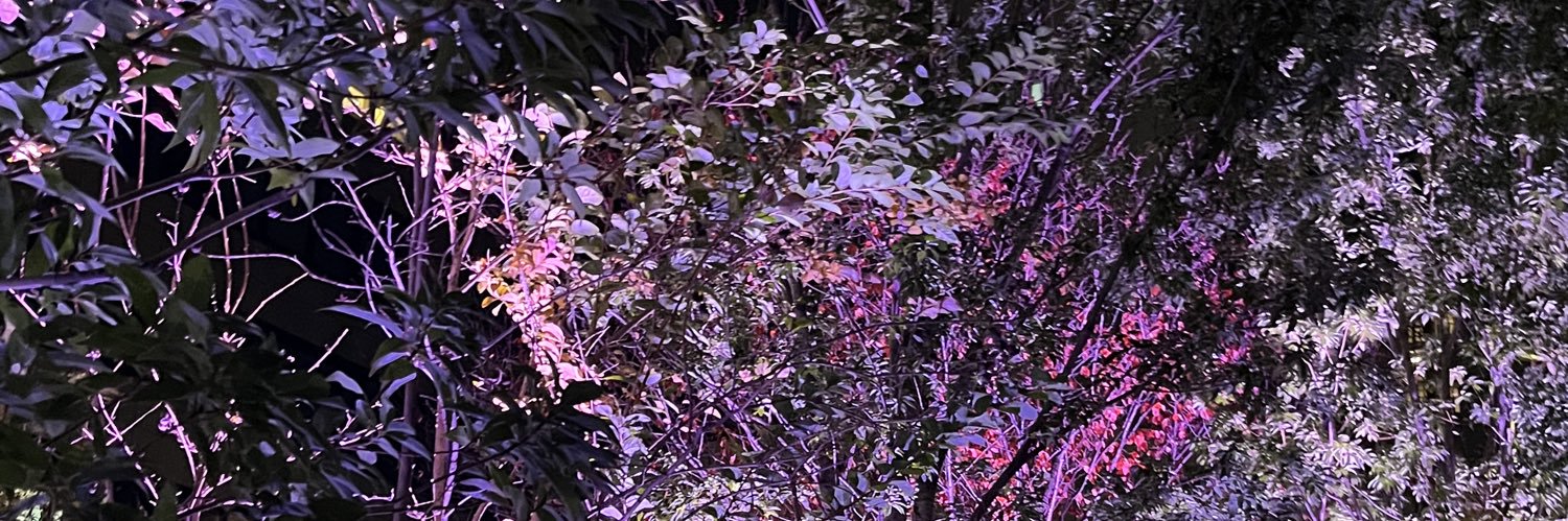 けんさん banner