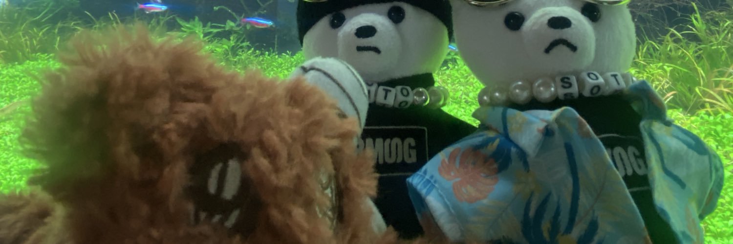 puka_be1's profile banner image
