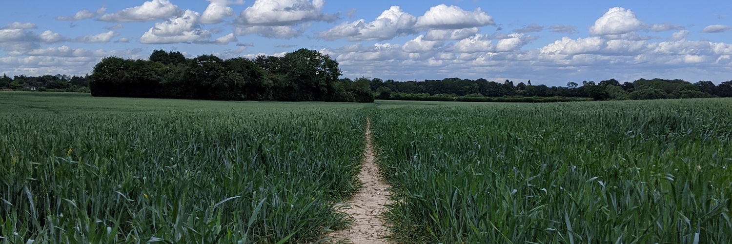 Gareth Bellamy 💙🇺🇦 banner