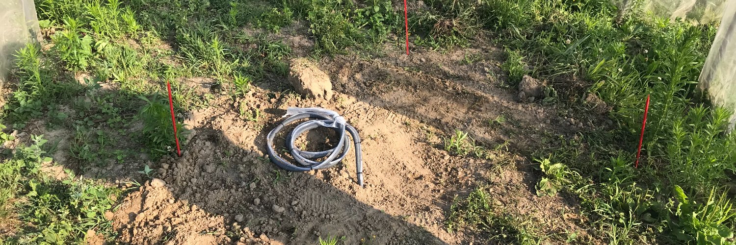 George W. Archbold Taylor banner