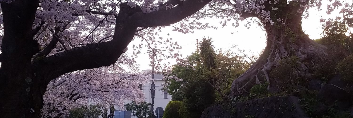 itsninaleeyo's profile banner image