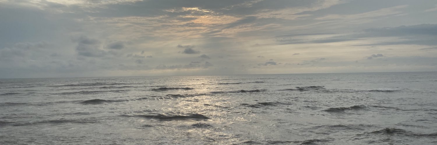 Srushti261's profile banner image