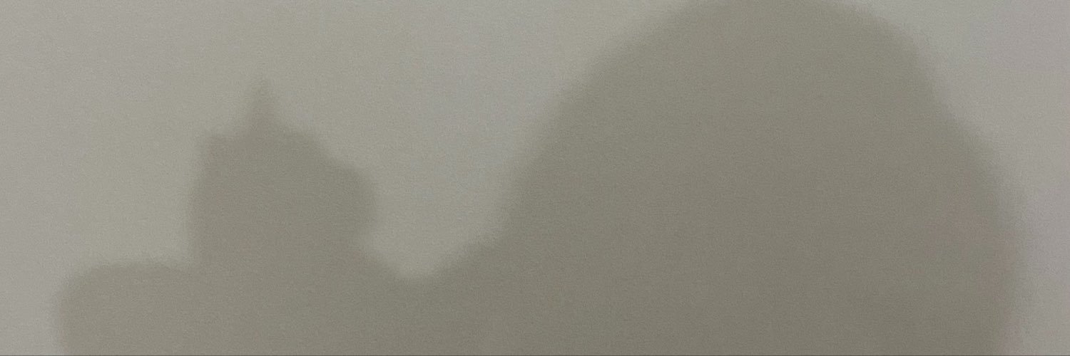notthatly's profile banner image