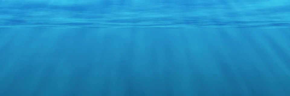 NegnFox's profile banner image