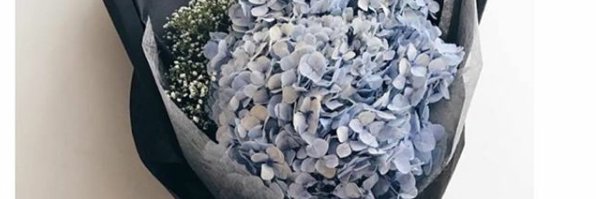 wirdamae's profile banner image