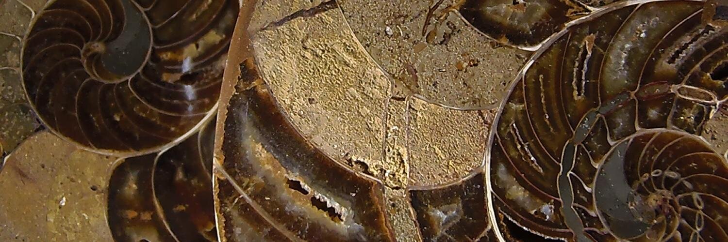 Geological Outreach banner