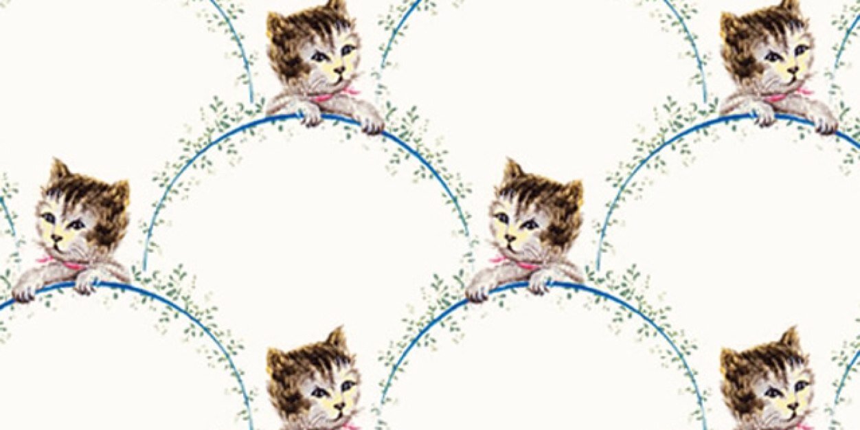 squirrel_ym's profile banner image