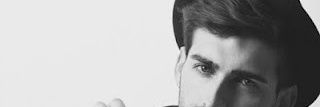 vippoet banner