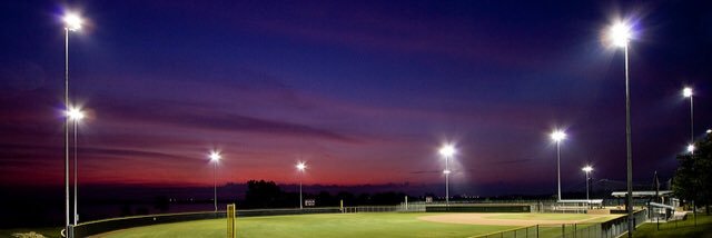 George J. Perlotto banner