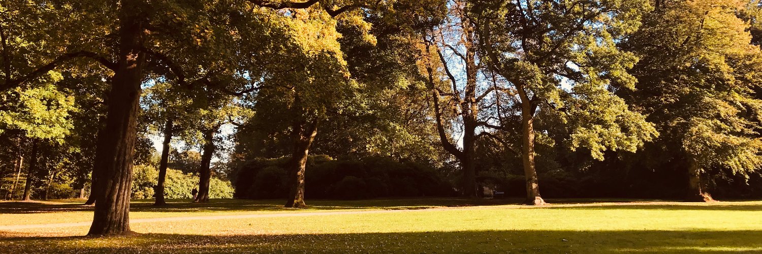 Dawnlikeme's profile banner image