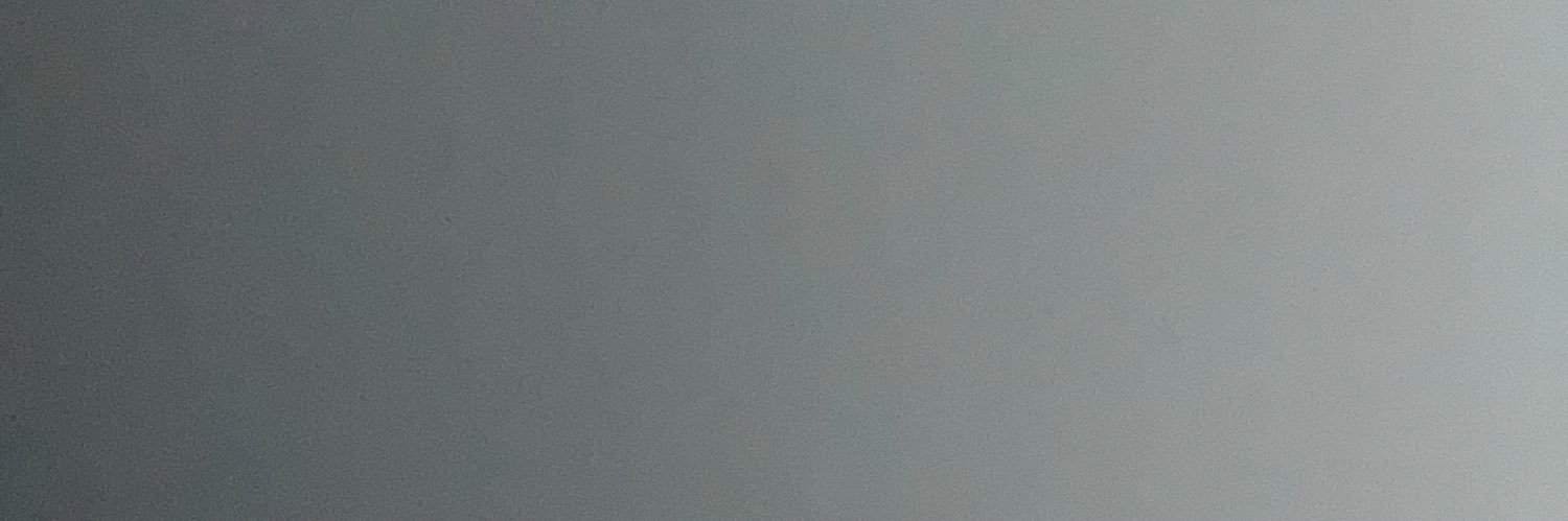 Hector Sanchez Jr banner