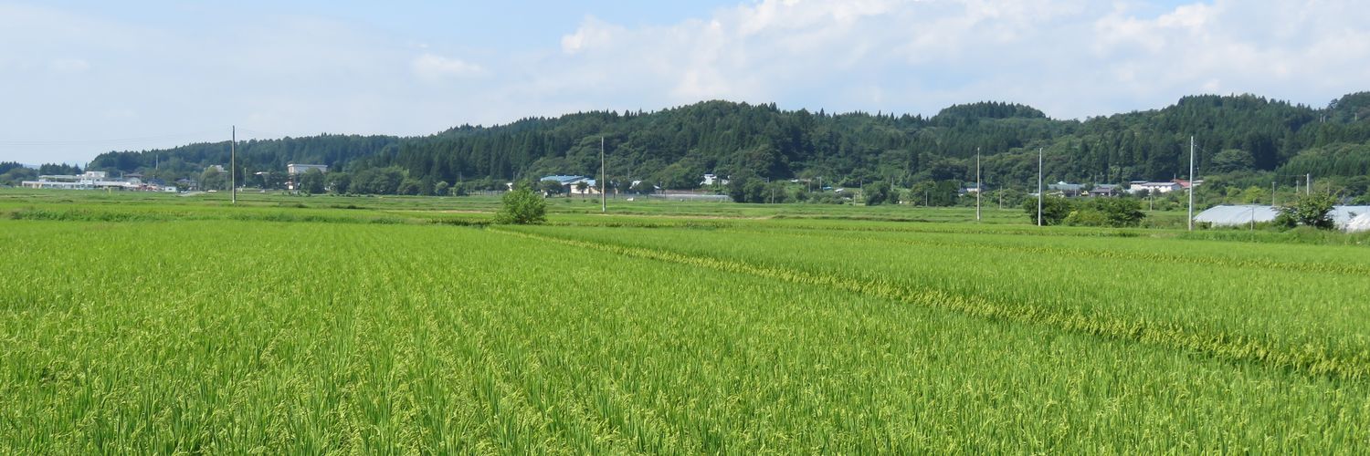 fujii27hoe's profile banner image