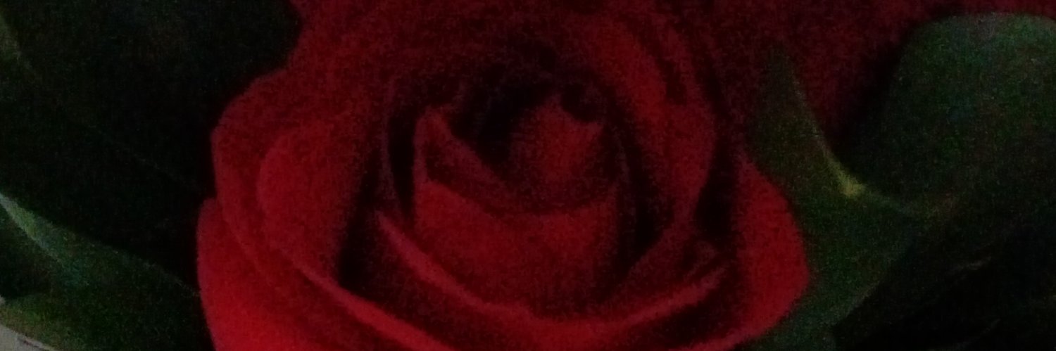 ptypacheco's profile banner image