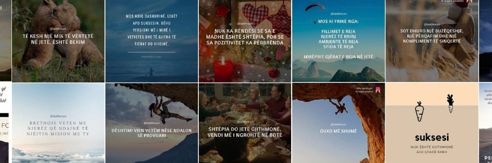 laidiferruni's profile banner image
