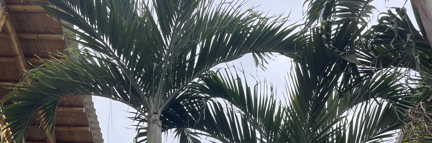 KJIS_'s profile banner image