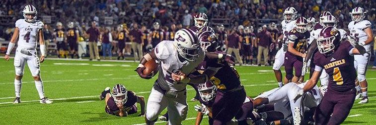 Herald-Press Sports banner