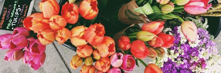 ashleyncope's profile banner image