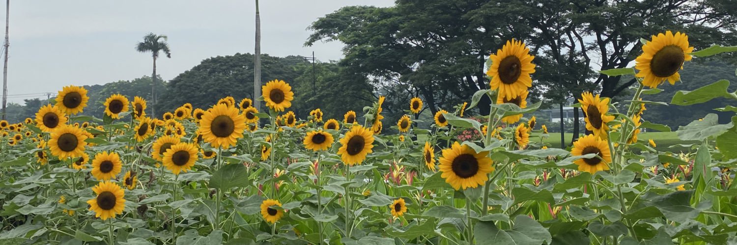 kulaymasa's profile banner image
