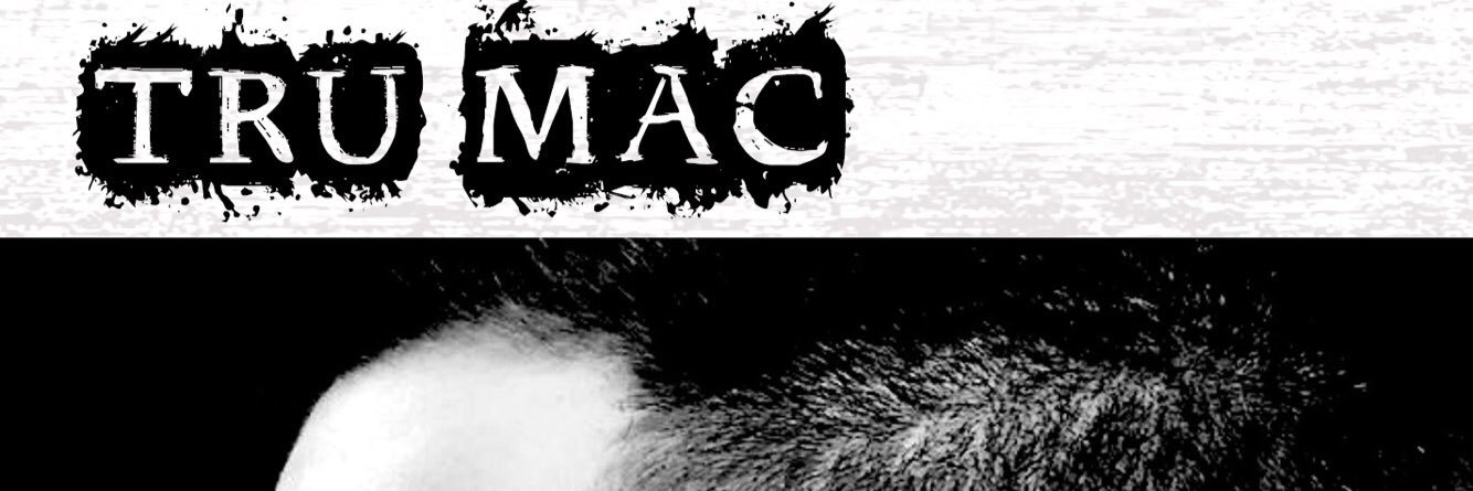 Trumactherapper's profile banner image