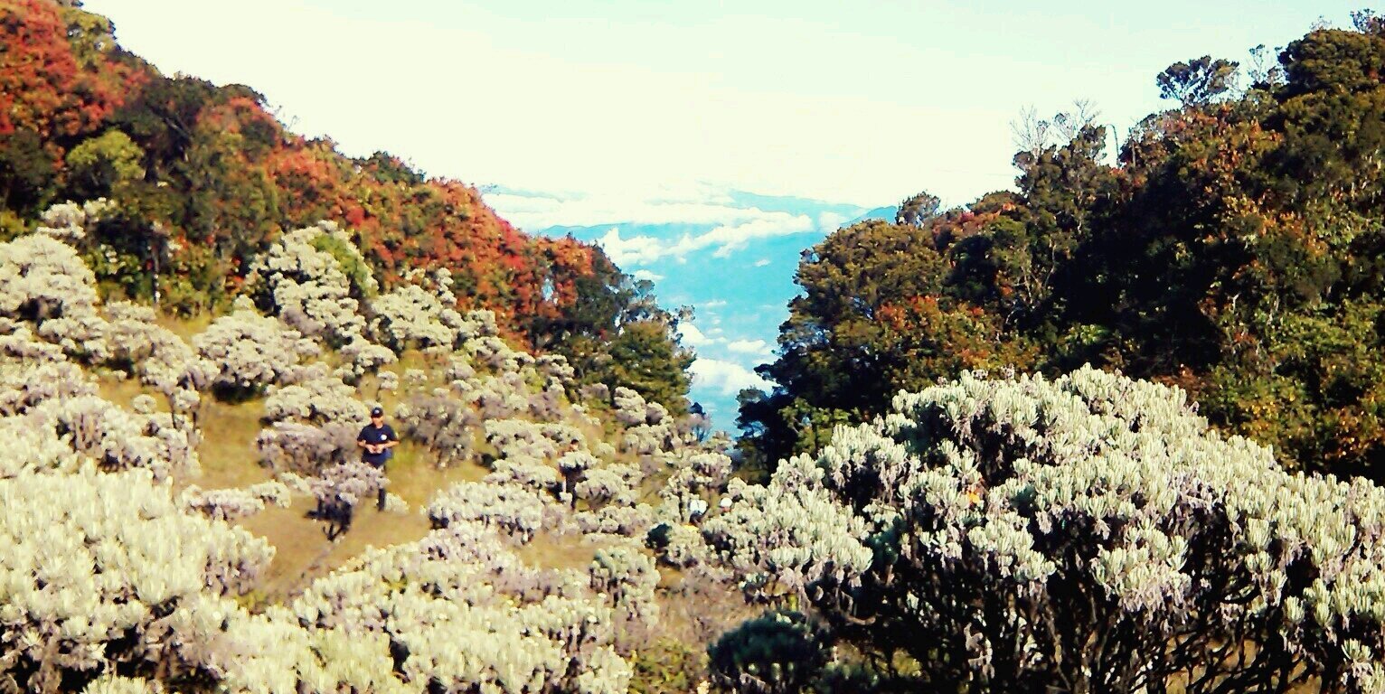 Nevrizzz's profile banner image
