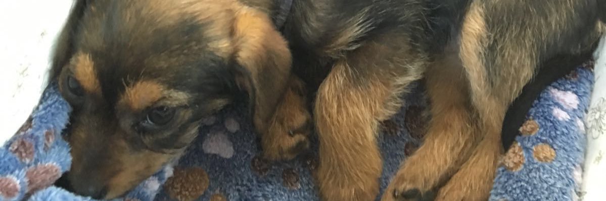 becci161's profile banner image