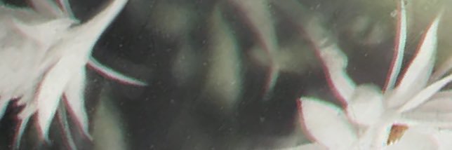 river banner