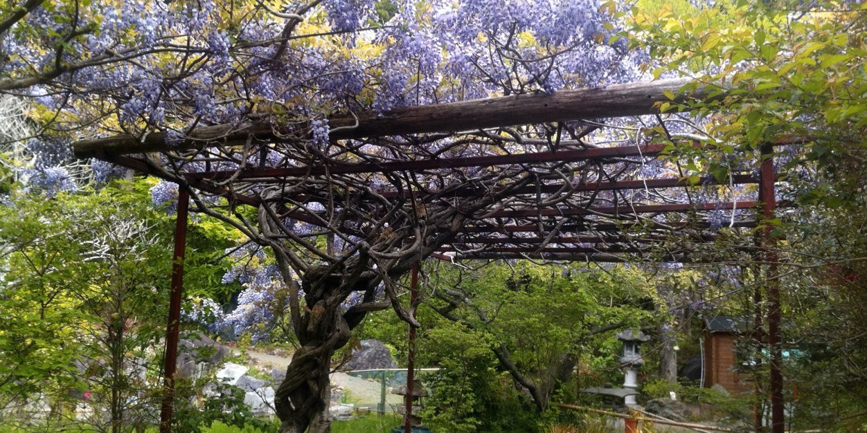 じゅぜっぺめあっつあ banner