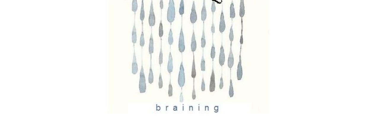 brainingblog's profile banner image