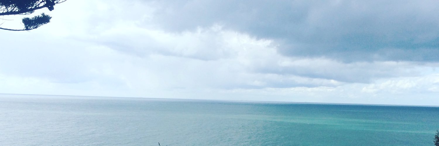 Dulcie_C's profile banner image