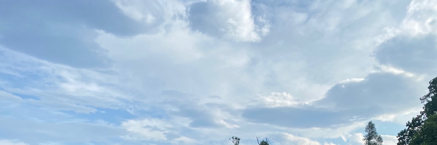 hev_vic's profile banner image